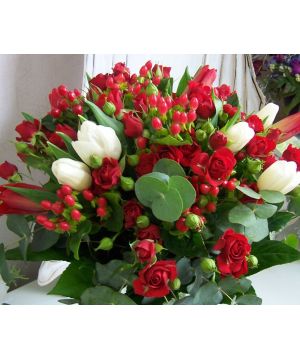 Tulipány a červené trsovky